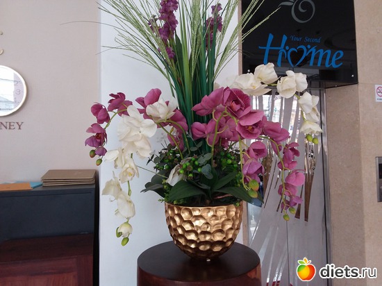 10 ����: ������� � ���� ����.