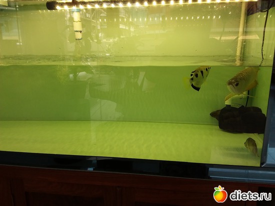 12 ����: ������� � ���� ����.