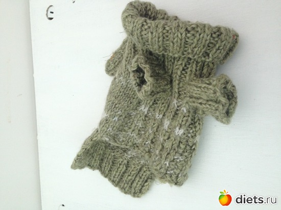 Свитер для маленькой собачки, альбом: МоДа для питомцев