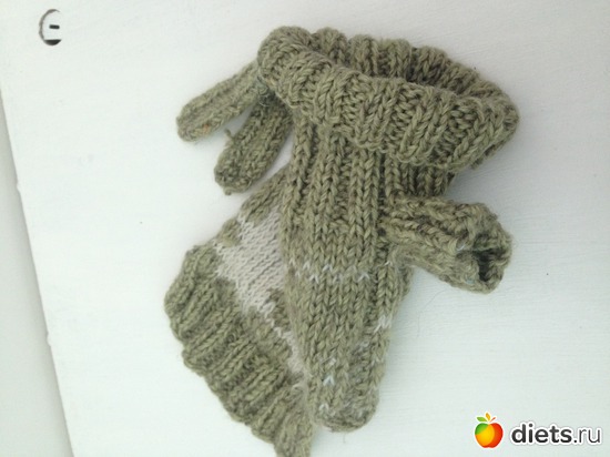 Свитер для маленькой собачки, альбом: МоДа для питомцев