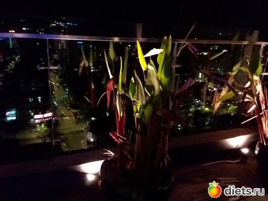 48 ����: ������� � ���� ����.