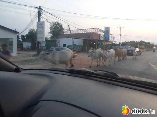 62 ����: ������� � ���� ����.