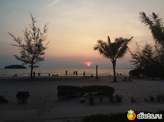 9.02.2017, ������: ������, ������� � ����.