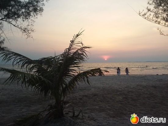 14 ����: ������, ������� � ����.