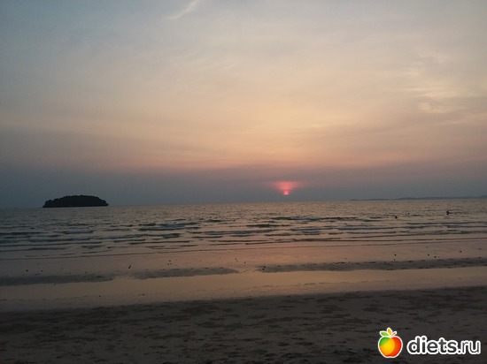 15 ����: ������, ������� � ����.