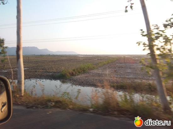 ������� ����, ������: ����������, ������ �����