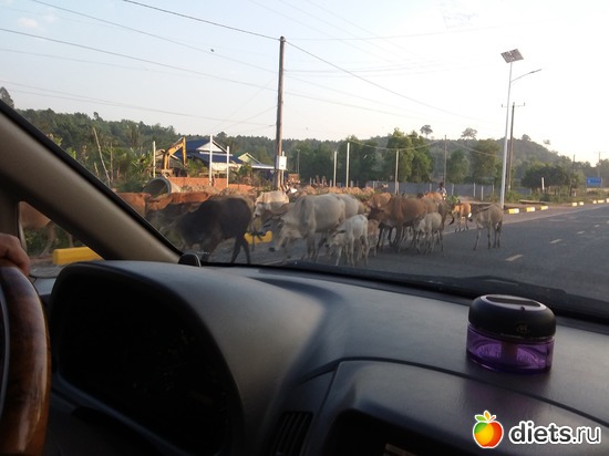 34 ����: ����������, ������ �����