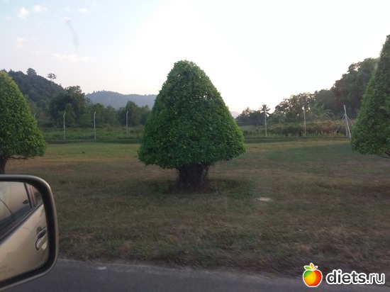 24 ����: ��������..
