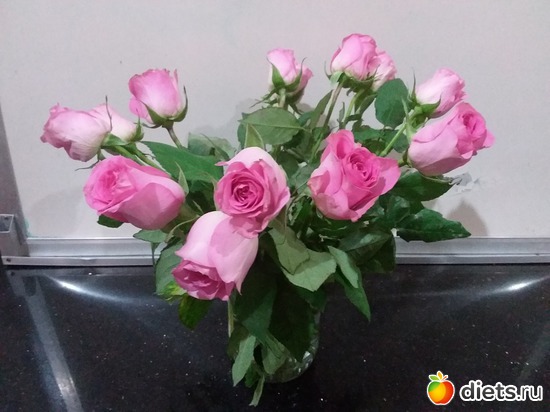 26 ����: ��������..