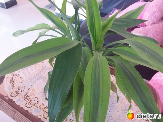 27 ����: ��������..
