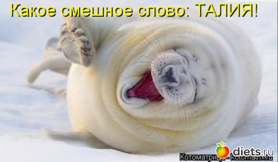 3 ����: ���!