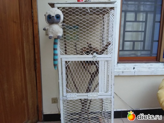 27 ����: ��� ��������