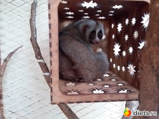 28 ����: ��� ��������