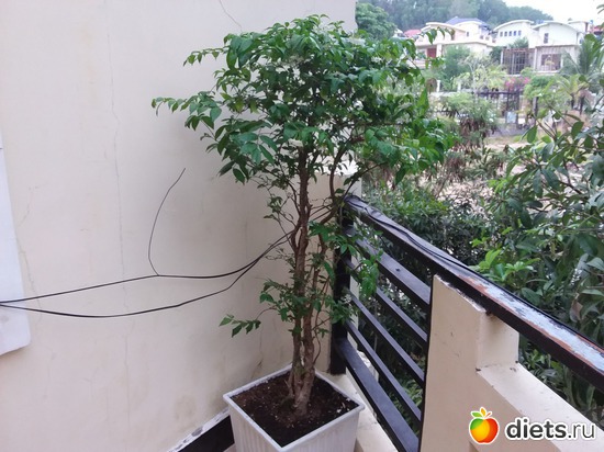 31 ����: ��������..