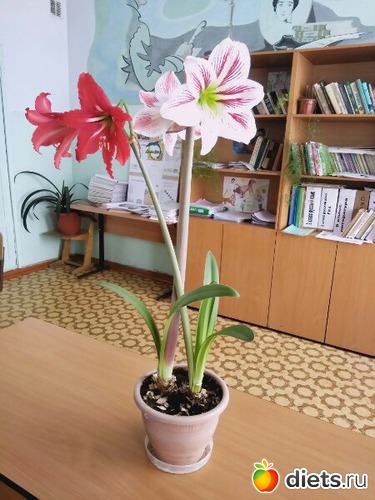 1 ����: �������)))