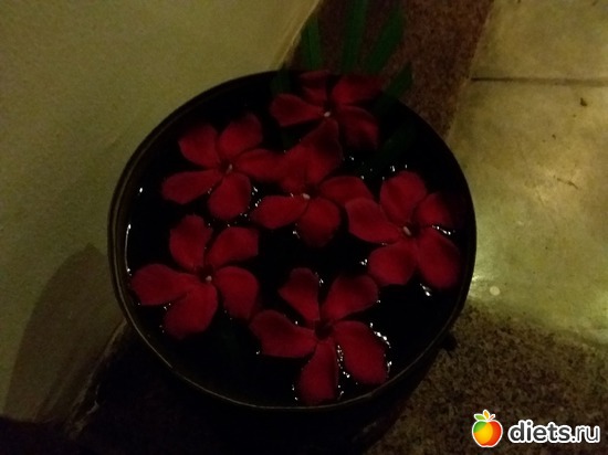 21 ����: ����������� �����