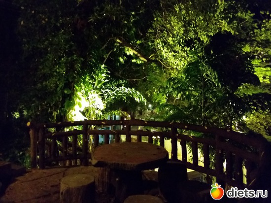 24 ����: ����������� �����