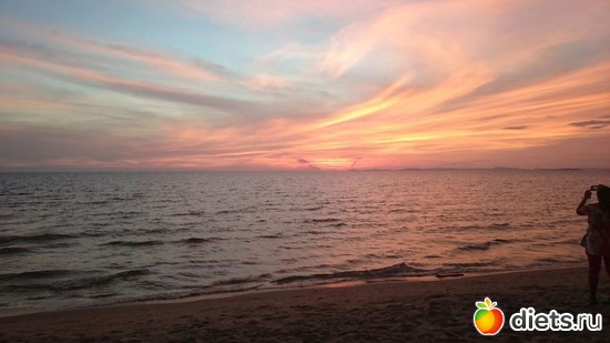 17 ����: ������, ������� � ����.