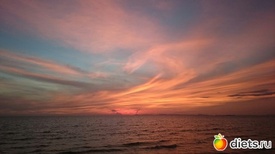 19 ����: ������, ������� � ����.