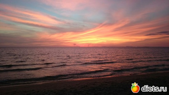 20 ����: ������, ������� � ����.