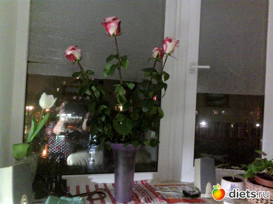 1 ����: �������