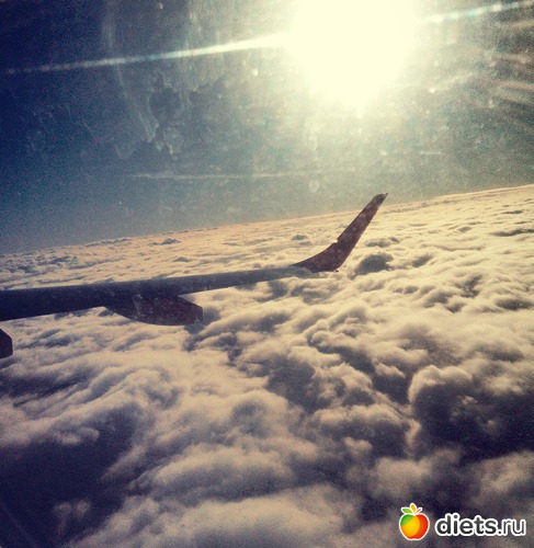 33 ����: 2017