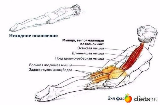 2 ����: ����� �� ���������