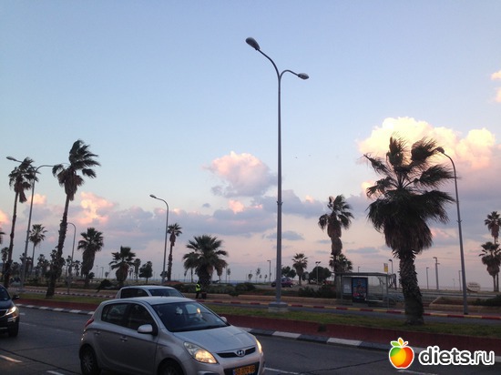 17 ����: 2017 ������