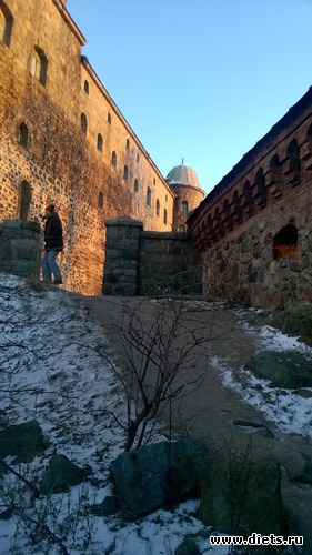 3 ����: ���������� ���������� �����