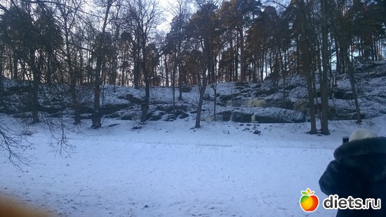 5 ����: ���������� ���������� �����