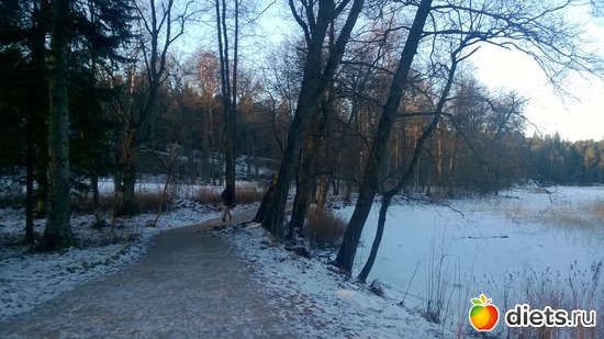 6 ����: ���������� ���������� �����