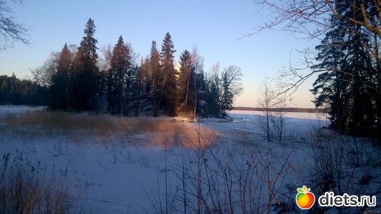 7 ����: ���������� ���������� �����