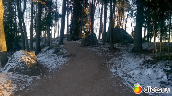 8 ����: ���������� ���������� �����