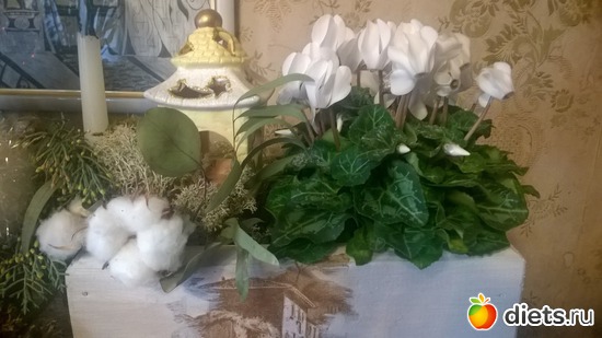 1 ����: ����� 2017