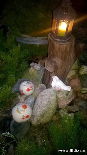 5 ����: ����� 2017