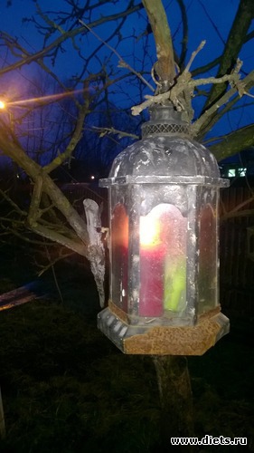 6 ����: ����� 2017