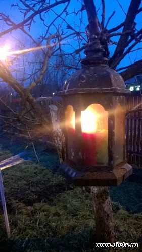 7 ����: ����� 2017