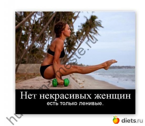 3 ����: �����������