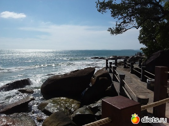 6 ����: ����������� �����