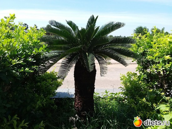 5 ����: ������� 1-4  ������ 2017 ����