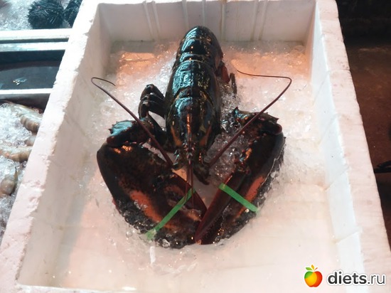 22 ����: ������� 1-4  ������ 2017 ����