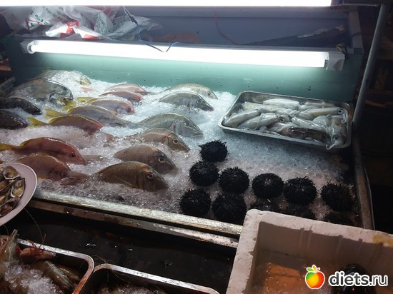 23 ����: ������� 1-4  ������ 2017 ����