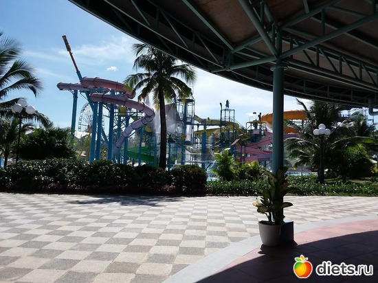 17 ����: ���� ����������� �� �������