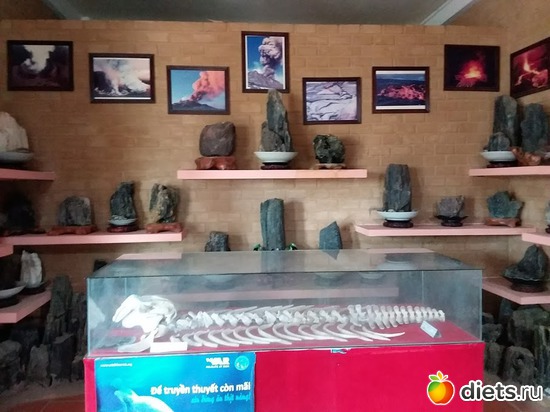 33 ����: ������� 1-4  ������ 2017 ����