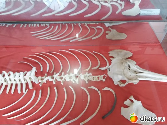 34 ����: ������� 1-4  ������ 2017 ����