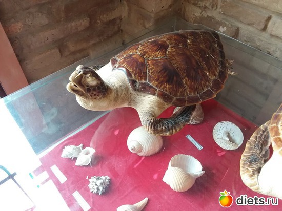 38 ����: ������� 1-4  ������ 2017 ����