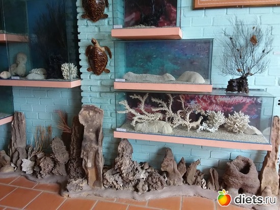 40 ����: ������� 1-4  ������ 2017 ����