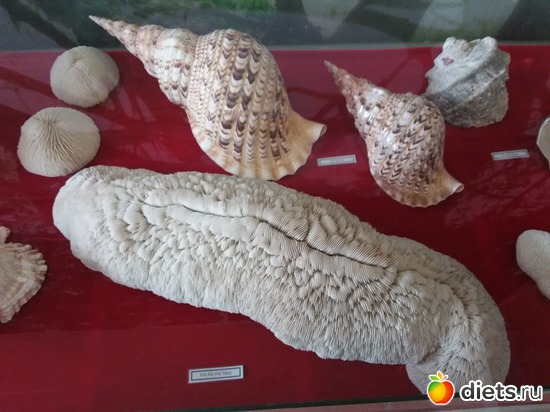 41 ����: ������� 1-4  ������ 2017 ����