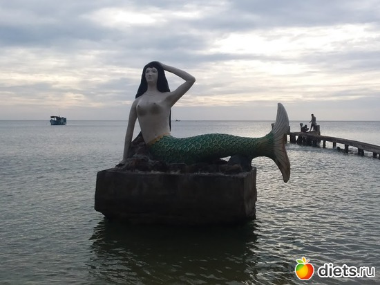 48 ����: ������� 1-4  ������ 2017 ����