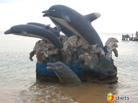 49 ����: ������� 1-4  ������ 2017 ����